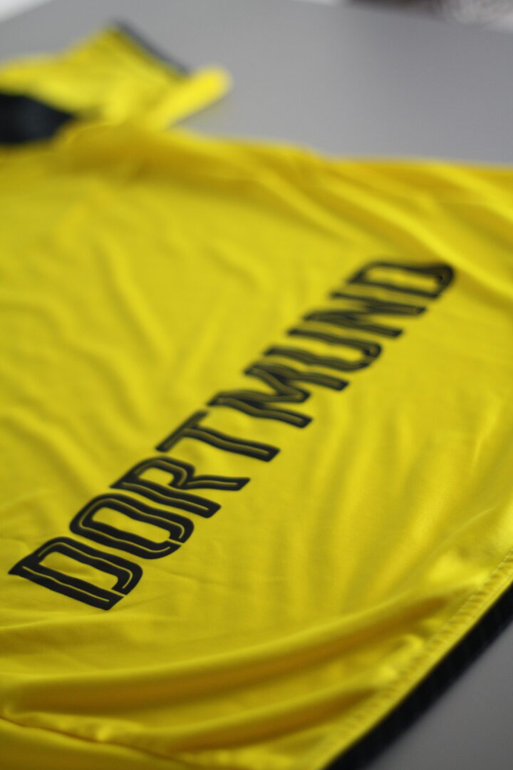 Borussia Dortmund - CL 16/17 – Bild 6