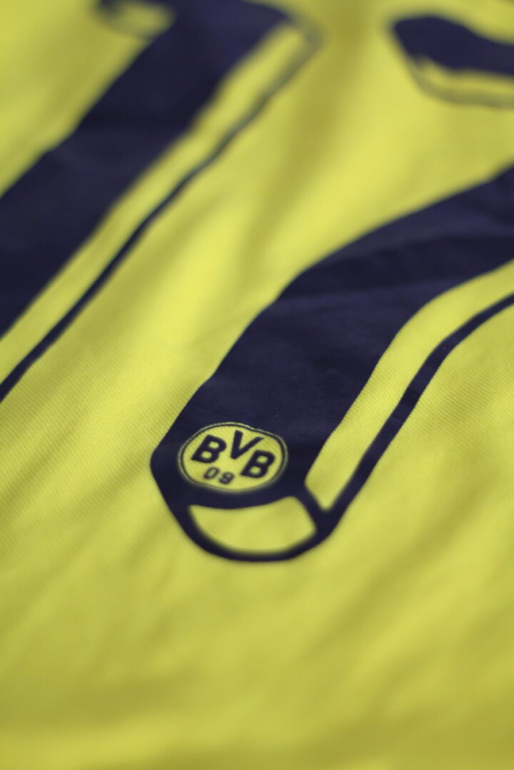 Borussia Dortmund - Aubameyang 17 – Bild 6
